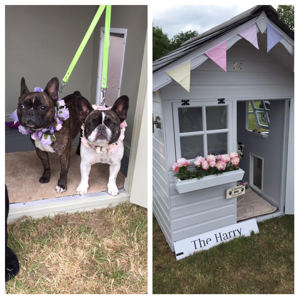 CupidCollars's tweet photo. Mum please can we get one of these?! #luxurydoghouse @DogfestUK #DogFest #adogcandream @TheDogCottageCo #flowercollar http://t.co/tmnhGEcr6Y