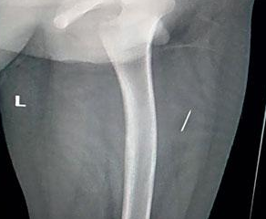 أقوال و معلومات tweet media