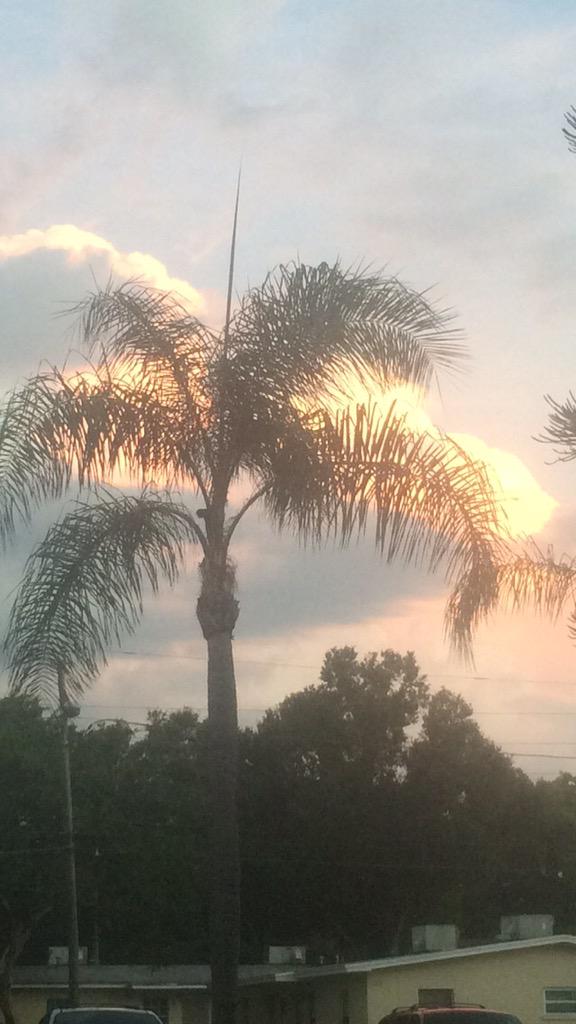EvilPrincessB's tweet image. #LoveFL #floridasunsets