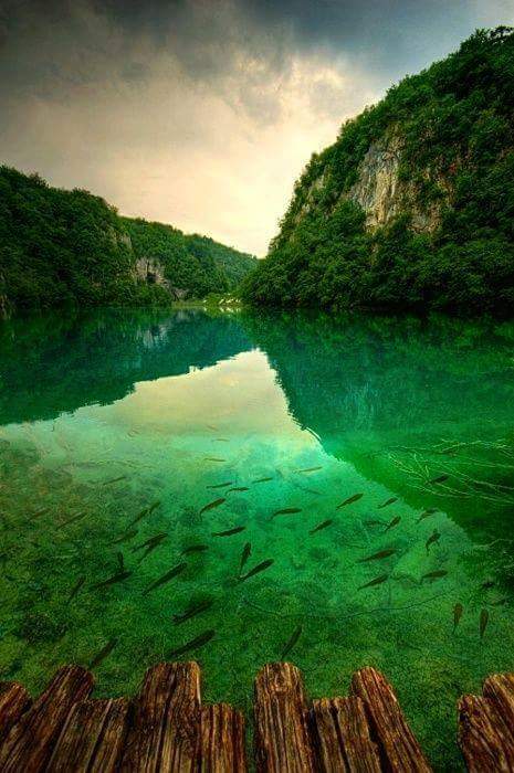 zulminale's tweet photo. http://t.co/SFoaV7divJ
