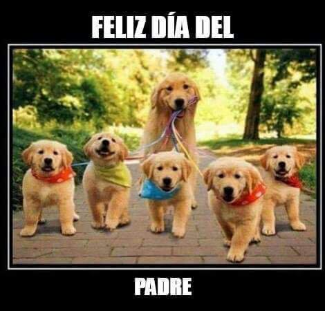 nmcortez47's tweet photo. Happy Father's Day God!! http://t.co/aMGyVYOFbH