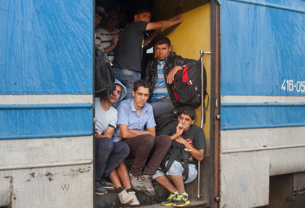 "<a href="/Linkiesta/">Linkiesta</a>: .@MemorieVagina: i migranti visti da una stronza linkiesta.it/volevo-dirvi-c… "prima l'orsodaniza e cani cinesi