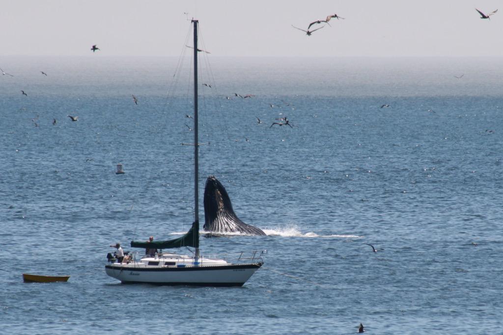 fiflash's tweet photo. Avila beach http://t.co/w34M5Mv5Zw