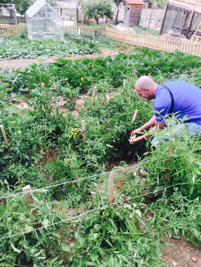 HvarGariful's tweet image. 