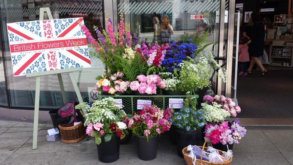 SmallholdersUK's tweet image. So much colour in our lives #BritishFlowersWeek &amp;amp; for the rest of the year too!