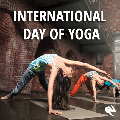 Aujourd'hui est la Journée internationale de Yoga!

#kellersports #allidoissports #yoga #internationalday