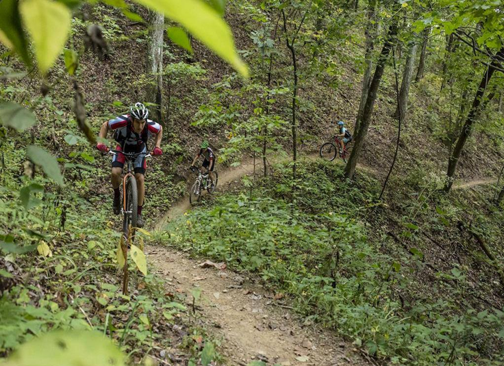 visitchatt's tweet photo. A ride at #StringersRidge? Fishing at Chickamauga Dam? How will all you dads be spending #FathersDay? (PC RootsRated) http://t.co/c69Bo8PxM3