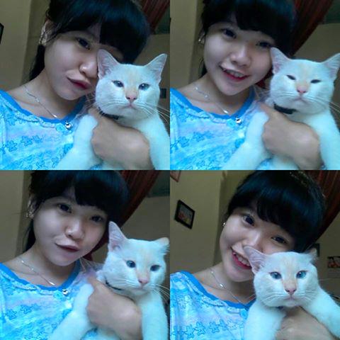 Ziiapradipta_'s tweet photo. Bareng kucing<3 http://t.co/PPO2FOJwqA