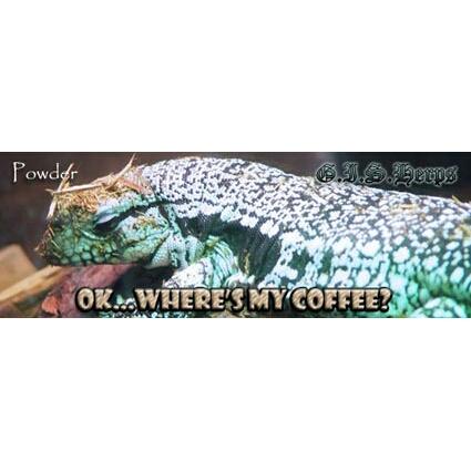 thomasjeaster's tweet photo. One of my old designs showing my blue/red hybrid tegu Powder with serious bedhead #gisherps #tegu #bluetegu #bedhead http://t.co/xUndkQ8C7G