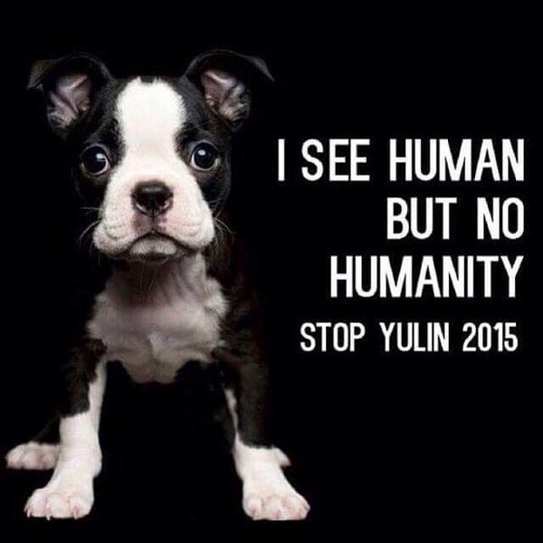 _AnimalAdvocate's tweet photo. STOP #Yulin2015 ALL DAY TWEET SHEET
A WARM UP FOR 9PM UK MAIN EVENT
#EndYulin
https://t.co/H63zKV8AYi #EndYulin2015 http://t.co/NiUomjPZ6g