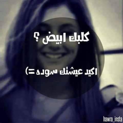 ،،،،،،،، (@dprbbc) on Twitter photo 
