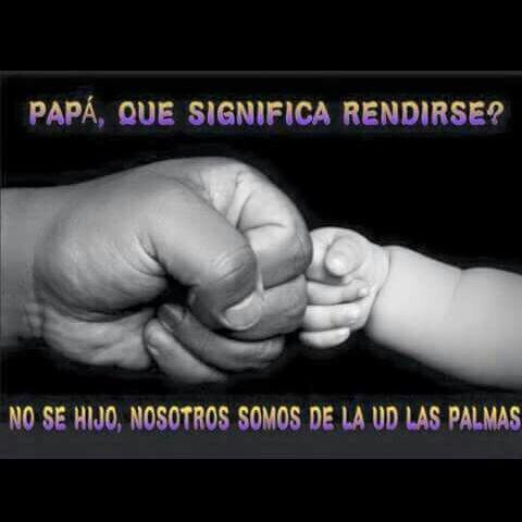 yusuarezP's tweet image. #UDPL ...equipo de mi corazón , orgullo canario y de mis colores. Esos canariones a disfrutar de primera!!! 👏👏👏