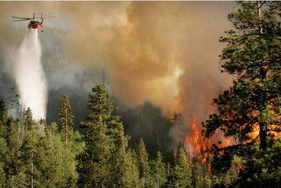SBCOUNTYFIRE's tweet photo. #LakeFire UPDATE 6/21 0700 16,136 acres 1,875 personnel 15% cont #SBCoFD cont to support ops w/ engines/dozer/crew http://t.co/XiQavRJA4g