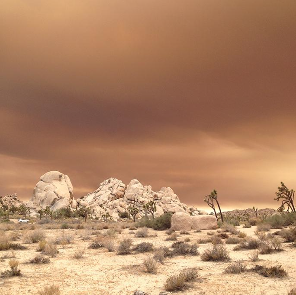 SBCOUNTYFIRE's tweet photo. #LakeFire UPDATE 6/21 0700 16,136 acres 1,875 personnel 15% cont #SBCoFD cont to support ops w/ engines/dozer/crew http://t.co/XiQavRJA4g