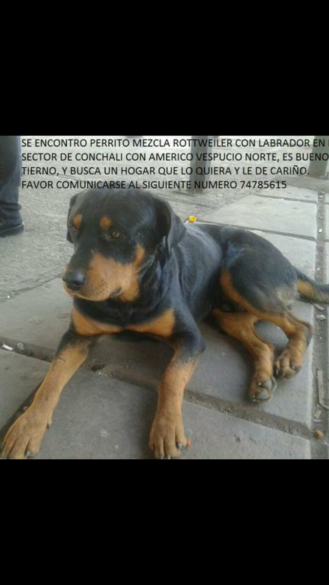 CQuezada del Sur🇨🇱 tweet media