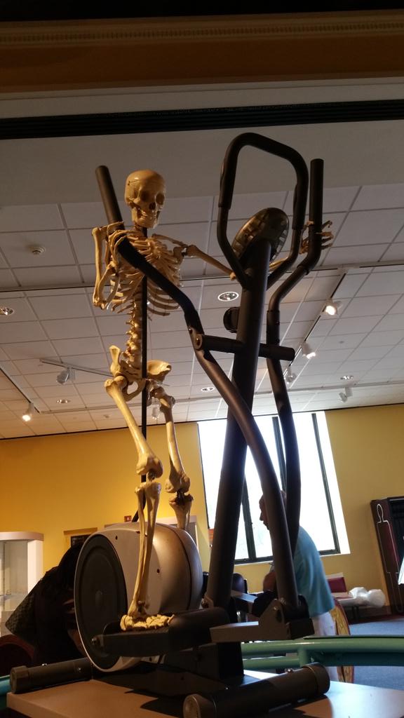 SkeletonsETC's tweet photo. GETTING MY BEACH BOD READY. http://t.co/cdFTVIWbxP