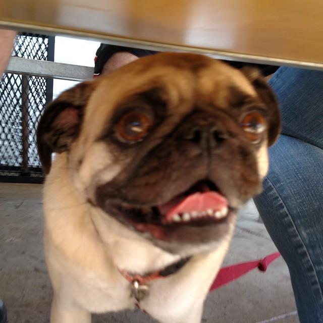 Troy Ponce tweet media