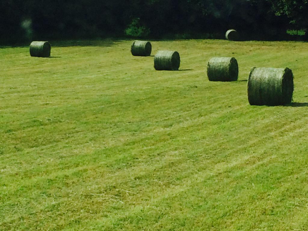 valtra162's tweet photo. Long days late nights #balingseason2015 loving it http://t.co/PugcBY1tFE