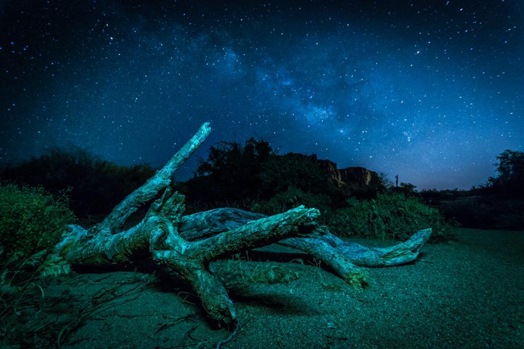 AndyKleinPhoto's tweet photo. Night wandering through #LostDutchmanStatePark just outside #Phoenix #Arizona http://t.co/6ZxJza9v1r