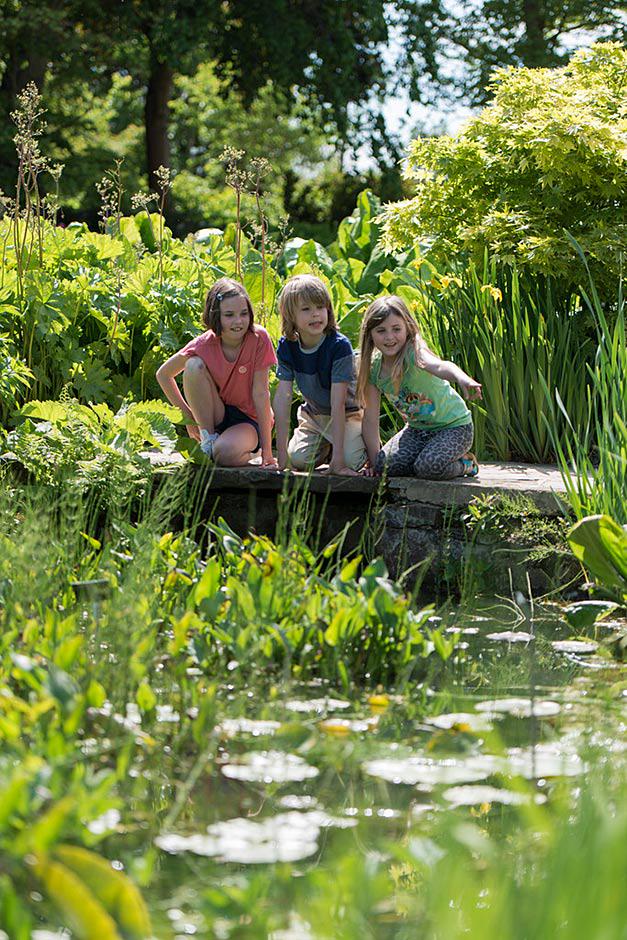 ヨーロッパ旅行 情報部 庭園巡りの旅 ヨーロッパの庭園 公園 リンク集 Http T Co Z7wspijp2q ロンドン郊外 ウィズリー ガーデン 王立園芸協会が運営 1804年に創立した240エーカーの有数の美しさを誇る庭園です Http T Co Zuxbmqdcqn