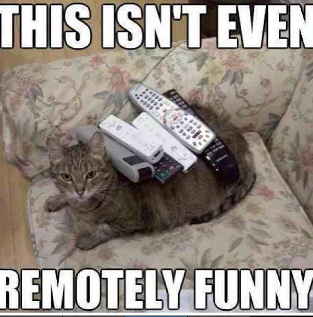 JamesyArm's tweet photo. @RichieAkk @iamnikhanlon http://t.co/M95ijTVgqi