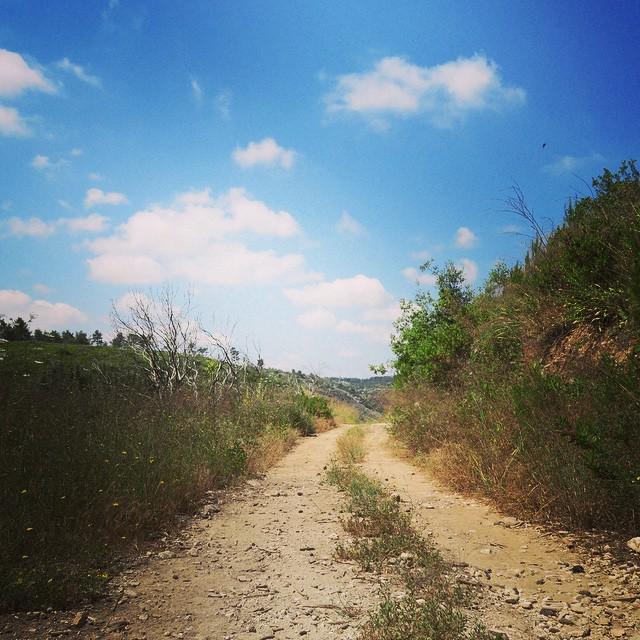 emilyelizamoyer's tweet image. Back from #Israel and missing my #taglit #bus429 #extreme group. Day 1 of #birthright consisted of new friends and …