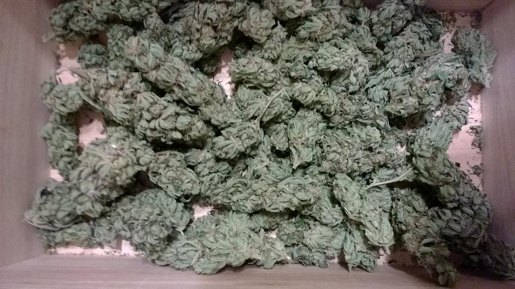 RVCPRO's tweet photo. Happy Fathers Day. Enjoy your time with#family and #Cannabis C U IN stores soon! #RVCPRO. http://t.co/xSVCh0zHmm