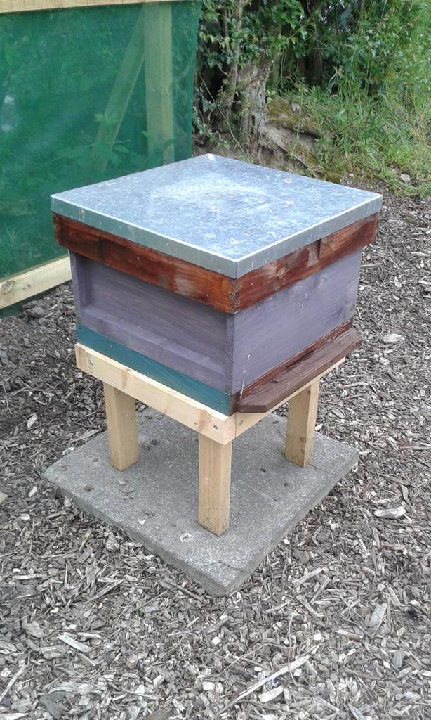 AshbridgeHortic's tweet photo. Ashbridge School now has a #beehive full of honeybees ( not on the school grounds ) http://t.co/shfXRtMXFG