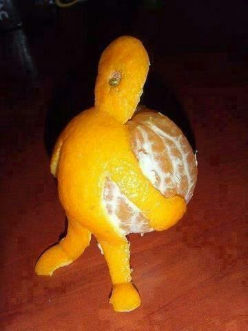 Powerful_Pics's tweet photo. Sometimes you just have to pick yourself up and carry on. http://t.co/s3m6OtbuSH