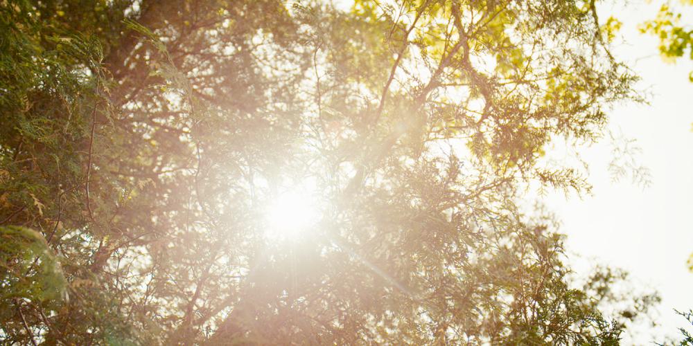 Go2Anxietyville's tweet photo. Welcome to summer! #virtual #summer #summersolstice #firstdayofsummer http://t.co/IGMSinYYCb