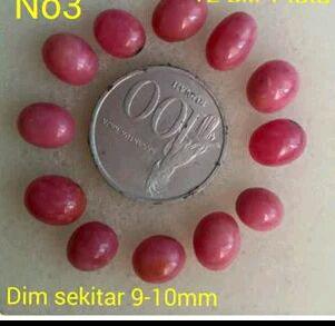 Borongan smw 1.3 jta Nett <a href="/HMoelyana/">Grue</a> <a href="/batuAkikBDG/">Batu Akik Bandung</a> <a href="/BatuAkikLovers/">#BatuAkik</a> <a href="/kolektorbatu/">Bacan</a> @batuakikbandung @HDYTgemstone