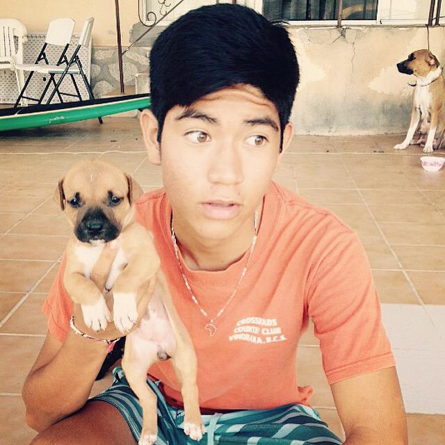 joshvazquezc's tweet image. 