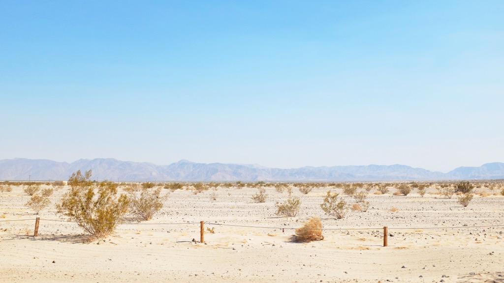 BrentCampanelli's tweet image. 115 degree weather makes the brain supes soupy. #RAAM2015 #raceacrossamerica #curehuntingtons #Arizona