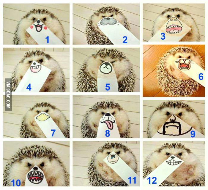 9GAG's tweet photo. What is your mood?
http://t.co/MZm3MgI4BR http://t.co/YWBHaC0AlS