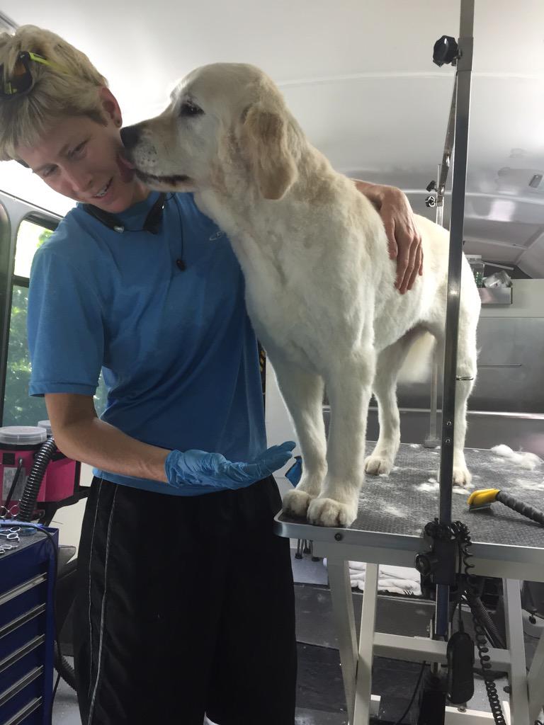 Groom Vroom, LLC (@Groomvroom2727) | Twitter Groom Vroom, LLC (@Groomvroom2727) | Twitter