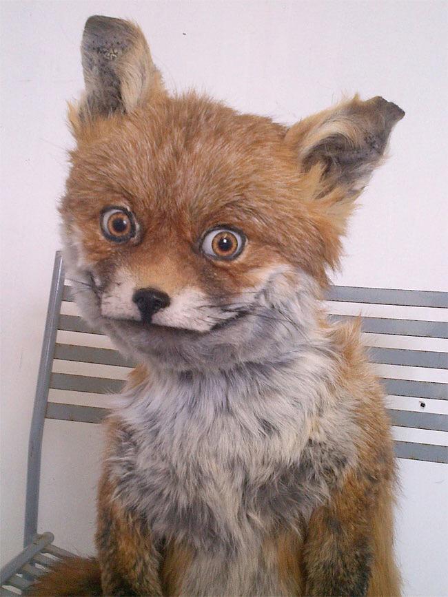 ibehighlike's tweet photo. When You're In Public And Hear Someone Say Weed
#ibehighlike http://t.co/AzoBr2FjNB