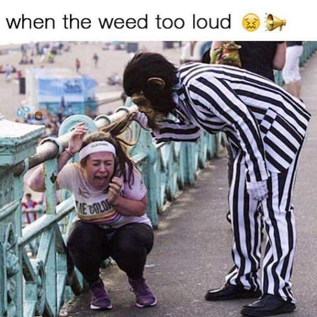 TRIPVCID's tweet image. 😭🐒 #weedhumor #funny #meme #420 #weed #weedstagram #funnypost