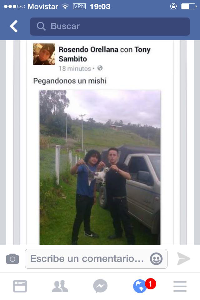 elimilitwter's tweet photo. @RescatAnimalCue #justicia http://t.co/XZ1R3aMTOY