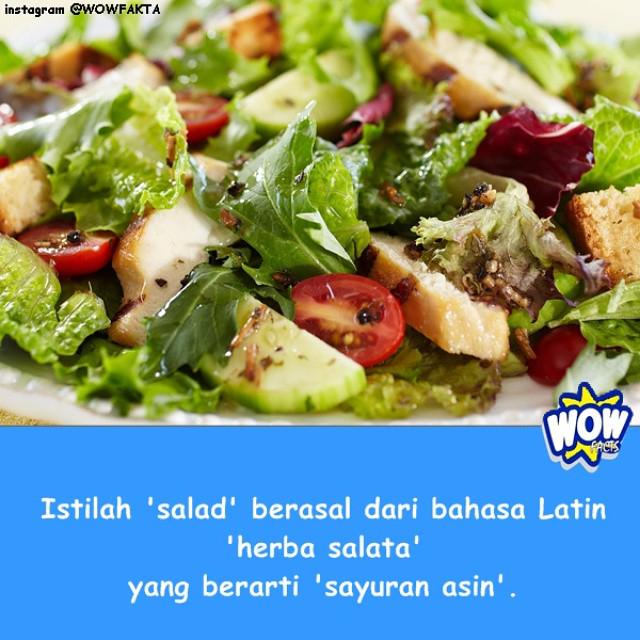 Американский салат. Летний овощной салат. Салат (блюдо). Соус для салата. Салат.