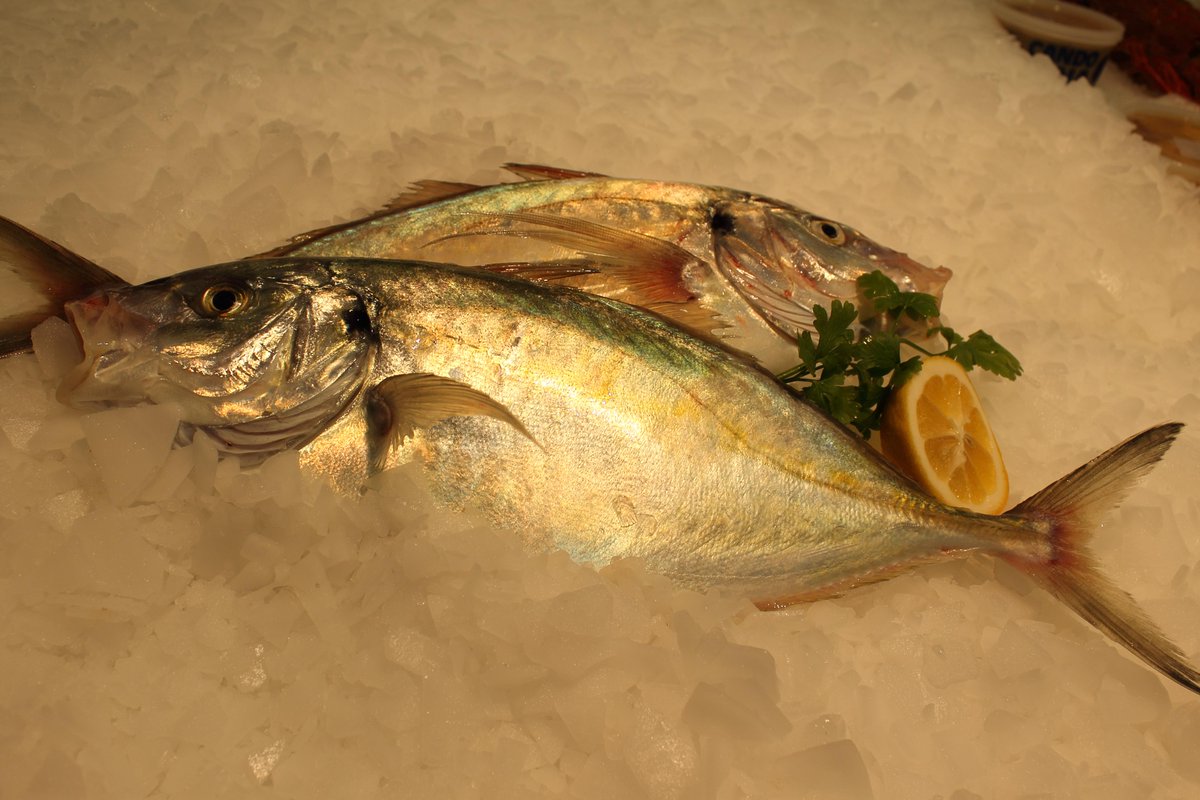 Fresh Trevally $8.95 per KG 
Thick Flakes that holds shape when cooked. Best method of cooking is steam, bake and fry