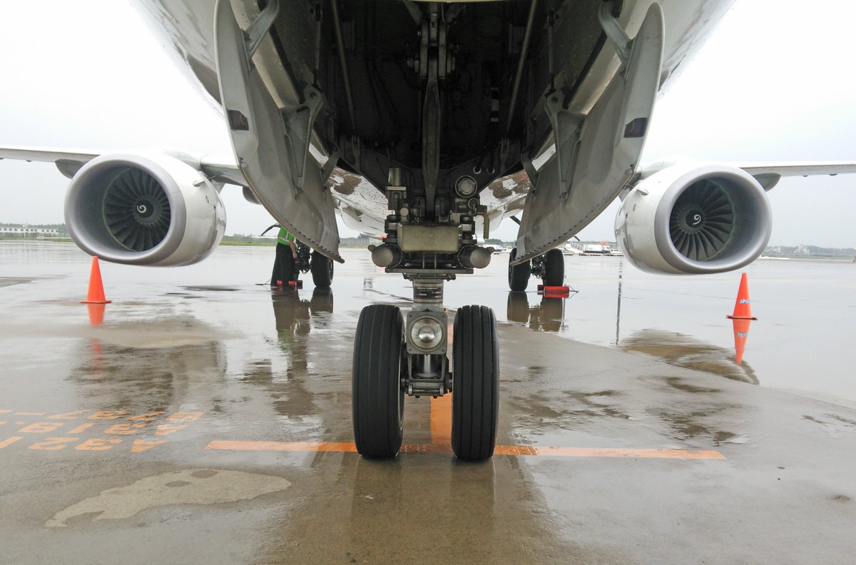 CIFGVreUEAECsOB.jpg?format=jpg