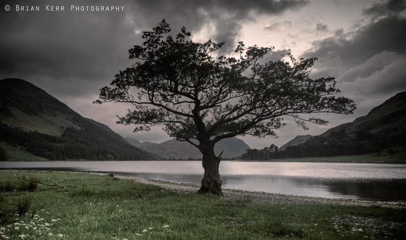 BrianKerrPhoto's tweet photo. Buttermere Tree #WexMondays @CumbriaWeather @LakeDistrictPR @Cumbria_Lakes @AP_Magazine @SonyUK #lakedistrict #tree http://t.co/YEmacHdkHH