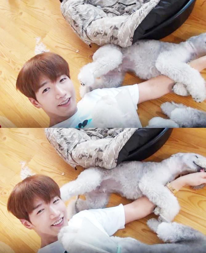 埋め込み画像への固定リンク