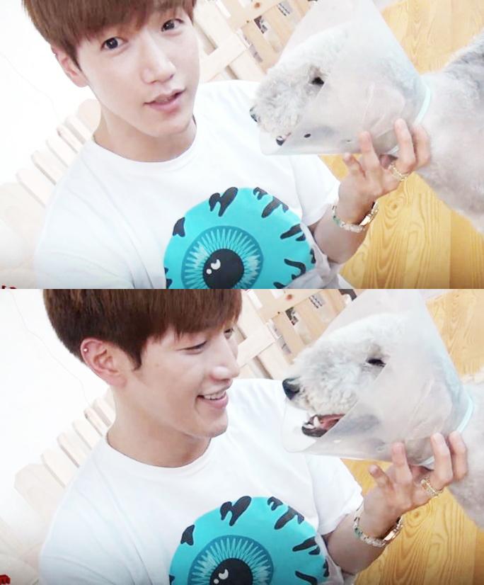 埋め込み画像への固定リンク