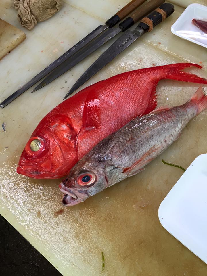 竹串 Takegushi Twitter