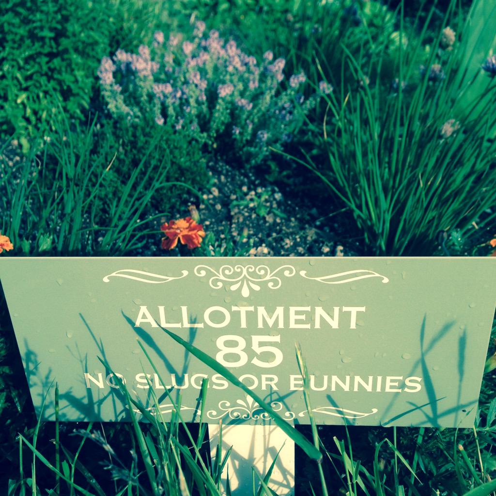 PlotBound's tweet photo. #allotment got a sweet new sign
v cool birthday present from lil sis
do hope my slugs are the literate kind http://t.co/hiqRBz66xw