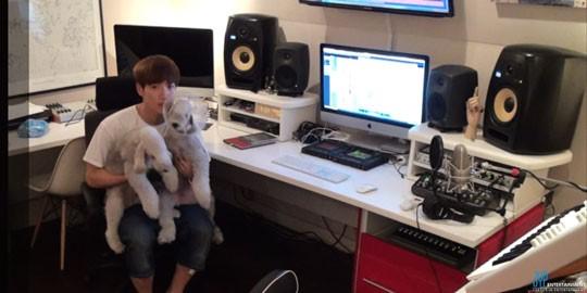 埋め込み画像への固定リンク