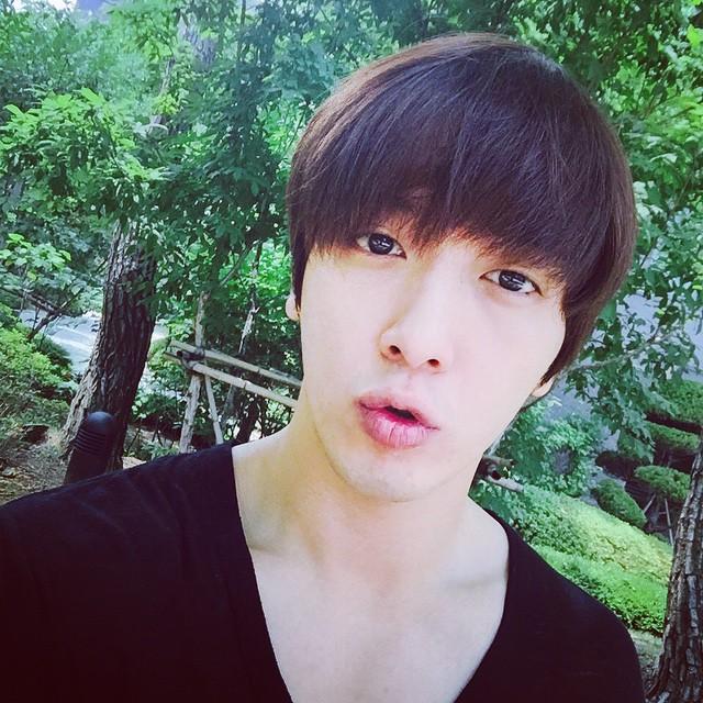 埋め込み画像への固定リンク