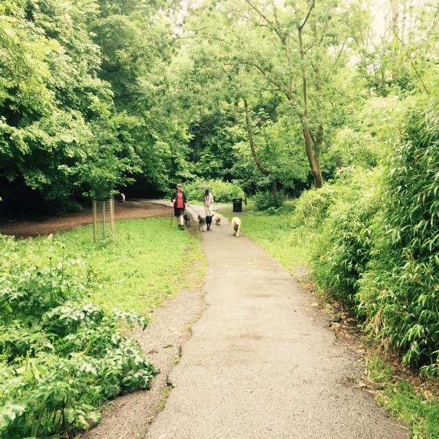 Sam__Thomson's tweet photo. Dog Walkers at #Badocks #Woods @bristolparkhive #parks #Bristol http://t.co/8Se5gcgLuX