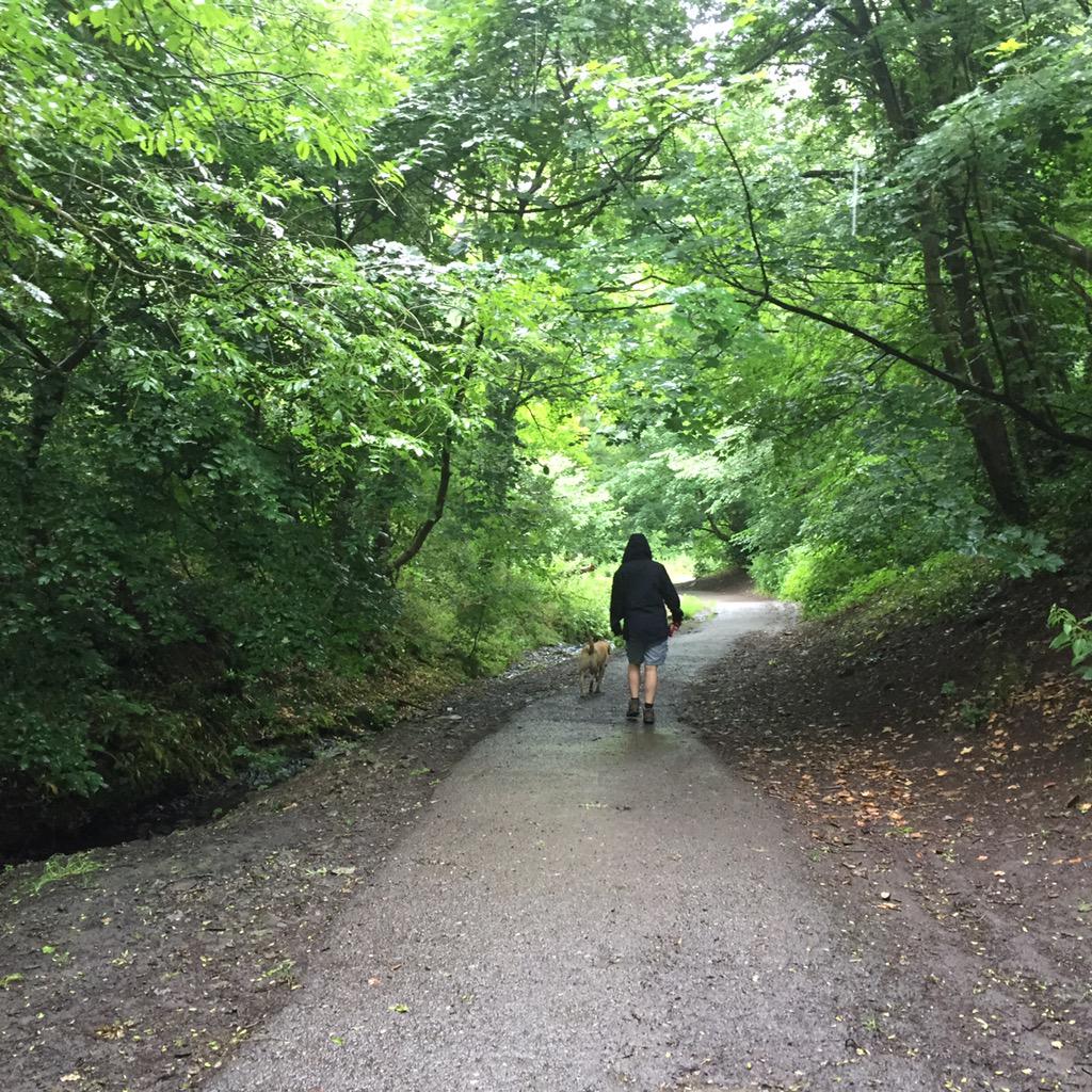 Sam__Thomson's tweet photo. Dog Walkers at #Badocks #Woods @bristolparkhive #parks #Bristol http://t.co/8Se5gcgLuX